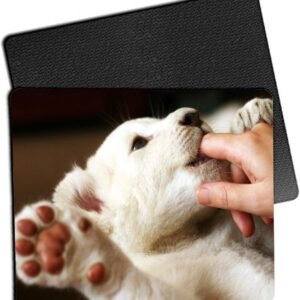 Mouse Pad